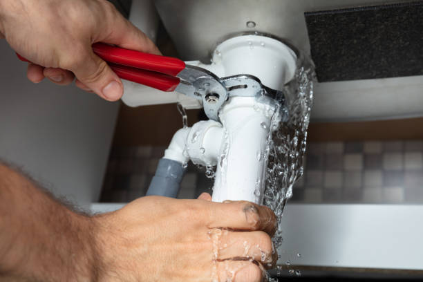 Best Carpet water damage restoration  in Northgate, OH