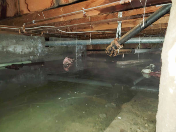 Best Water damage restoration process  in Northgate, OH