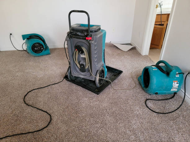 Best Professional water damage repair  in Northgate, OH
