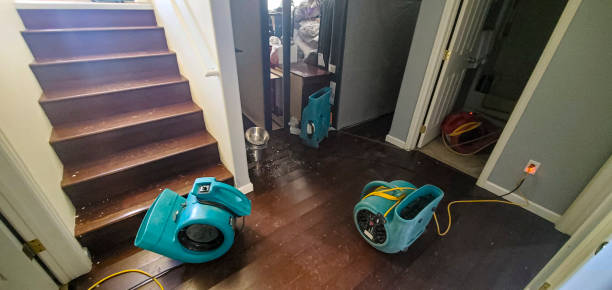 Best Flood restoration services  in Northgate, OH