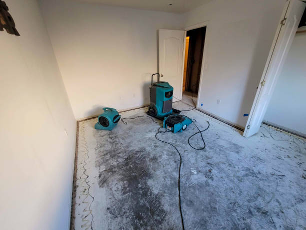 Best Flooded house restoration  in Northgate, OH