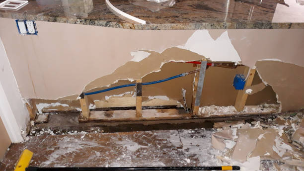 Best Ceiling water damage repair  in Northgate, OH