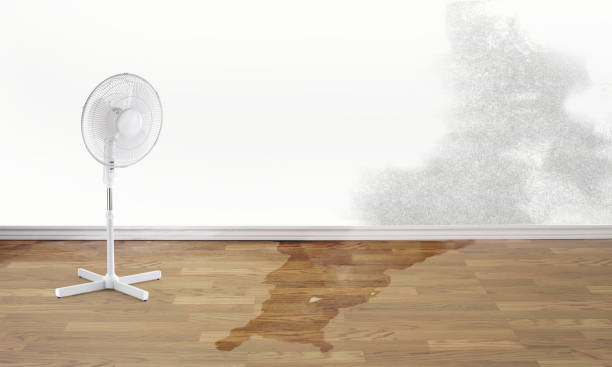 Best Flood damage cleanup  in Northgate, OH