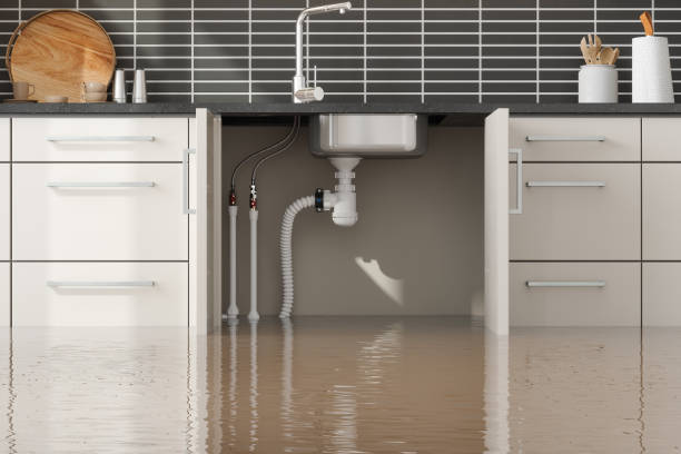 Best Water damage cleanup near me  in Northgate, OH