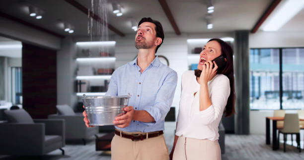 Best Flood damage cleanup  in Northgate, OH