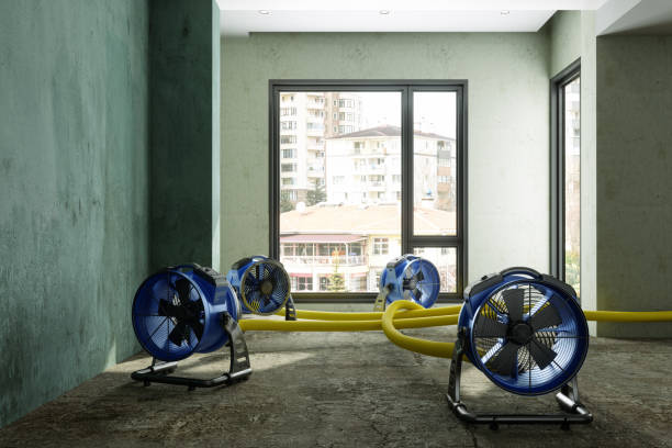 Reliable Northgate, OH Water damage restoration Solutions